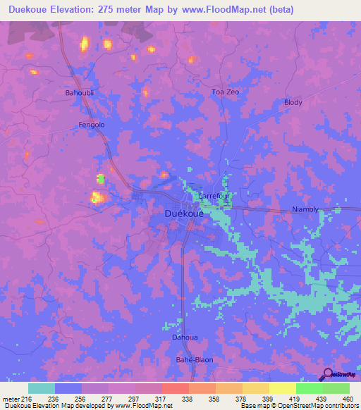 Duekoue,Ivory Coast Elevation Map