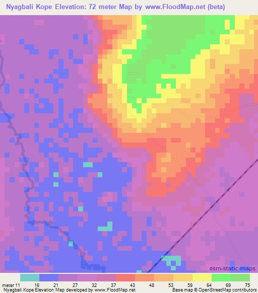 Nyagbali Kope,Togo Elevation Map