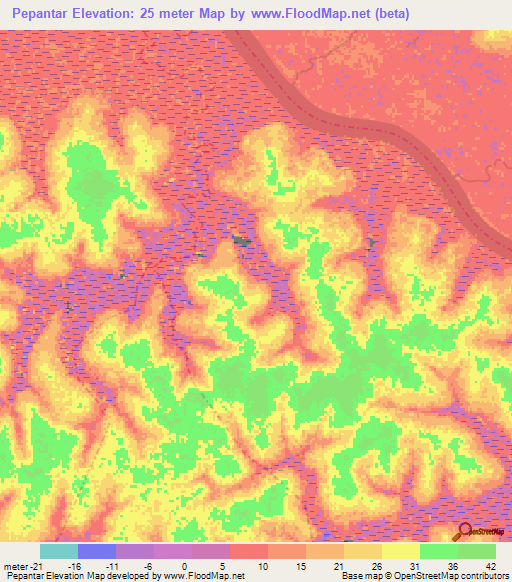 Pepantar,Guinea-Bissau Elevation Map