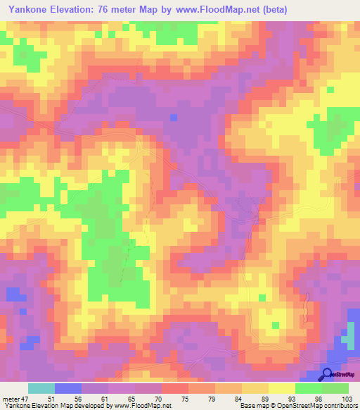 Yankone,Sierra Leone Elevation Map