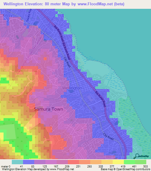 Wellington,Sierra Leone Elevation Map