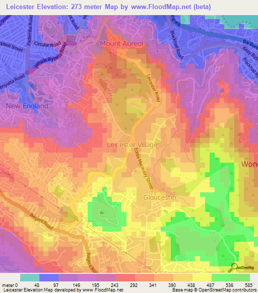 Leicester,Sierra Leone Elevation Map