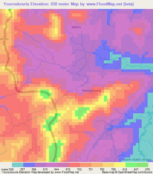 Youroukouria,Guinea Elevation Map