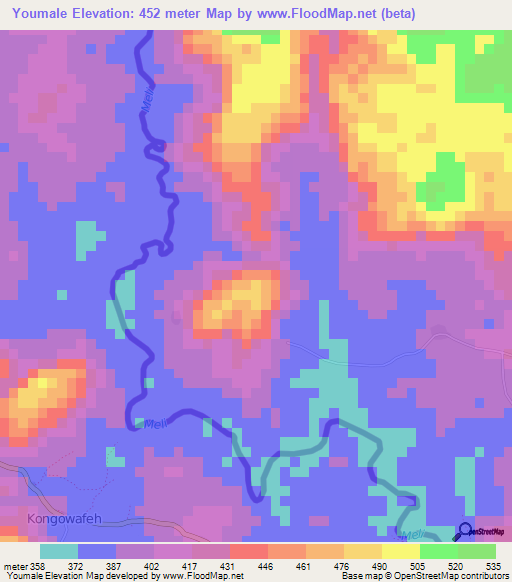 Youmale,Guinea Elevation Map