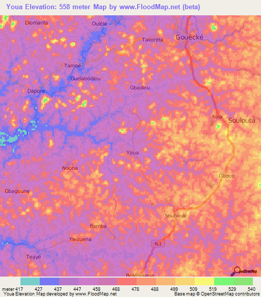 Youa,Guinea Elevation Map