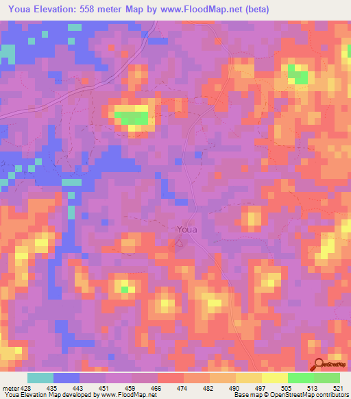 Youa,Guinea Elevation Map