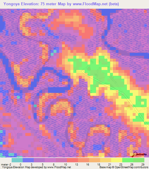 Yongoya,Guinea Elevation Map