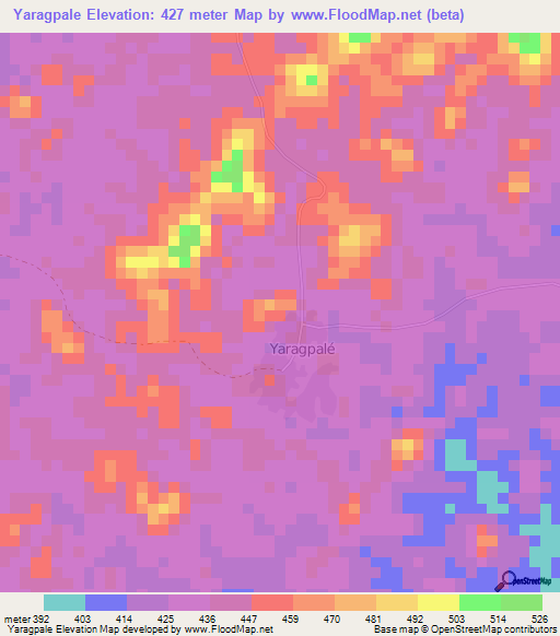 Yaragpale,Guinea Elevation Map