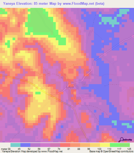 Yaneya,Guinea Elevation Map