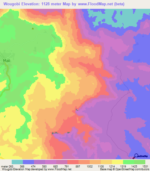 Wougobi,Guinea Elevation Map