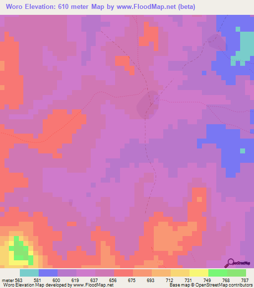 Woro,Guinea Elevation Map