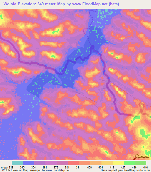 Wolola,Guinea Elevation Map