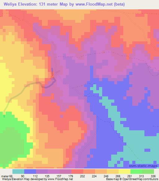 Weliya,Guinea Elevation Map