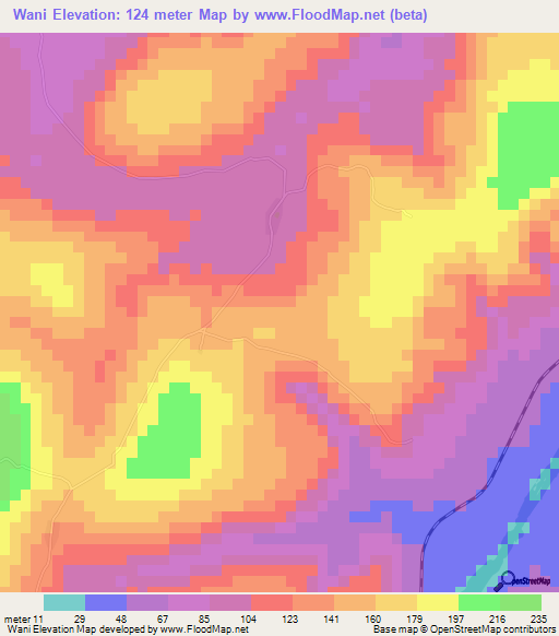 Wani,Guinea Elevation Map