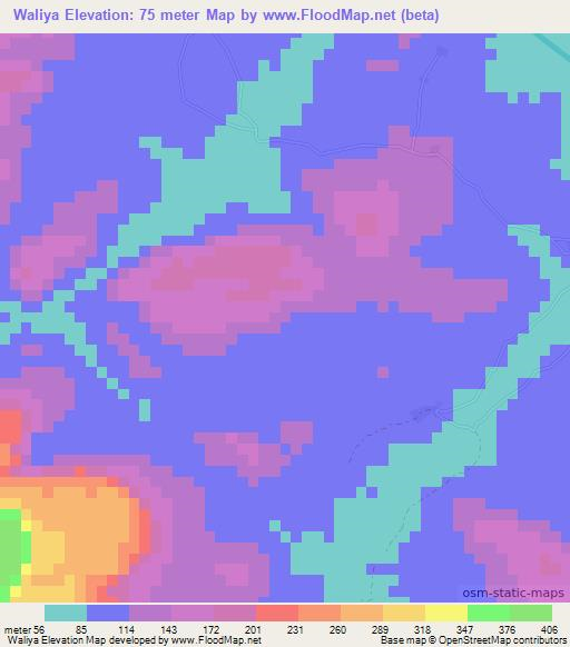 Waliya,Guinea Elevation Map