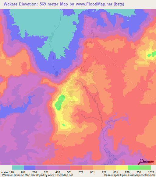 Wakare,Guinea Elevation Map