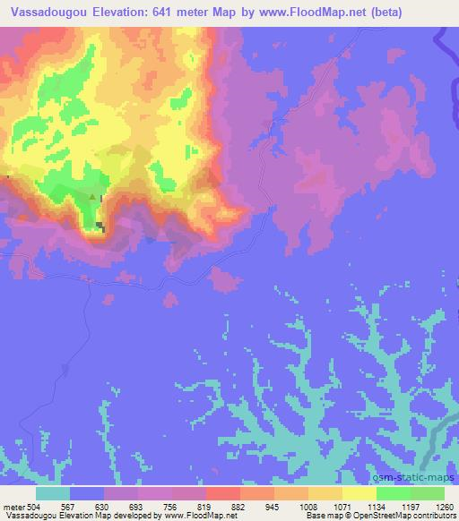 Vassadougou,Guinea Elevation Map