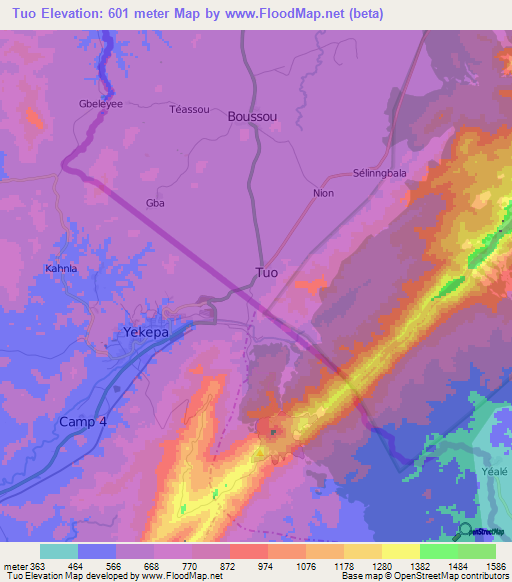 Tuo,Guinea Elevation Map