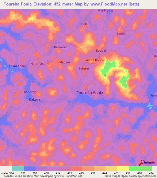 Toureita Foula,Guinea Elevation Map