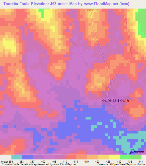 Toureita Foula,Guinea Elevation Map