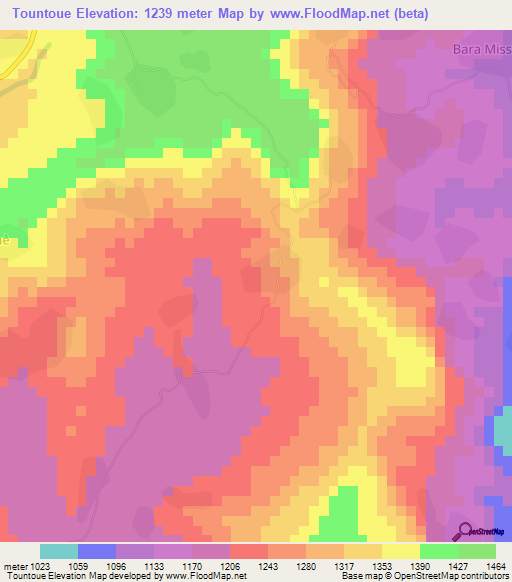 Tountoue,Guinea Elevation Map