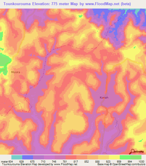 Tounkourouma,Guinea Elevation Map