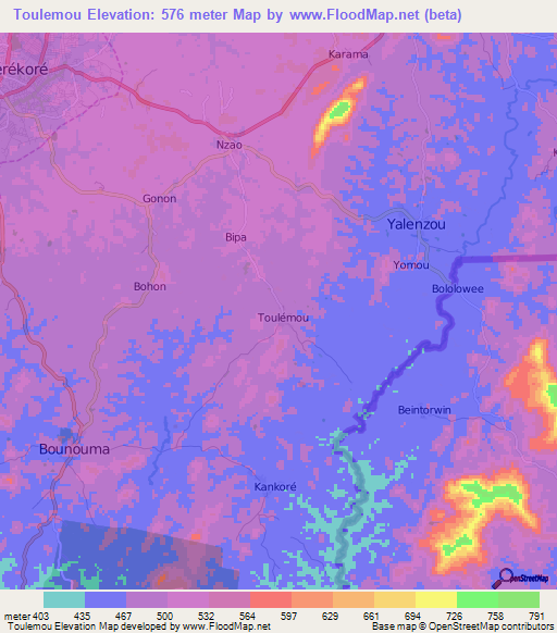 Toulemou,Guinea Elevation Map