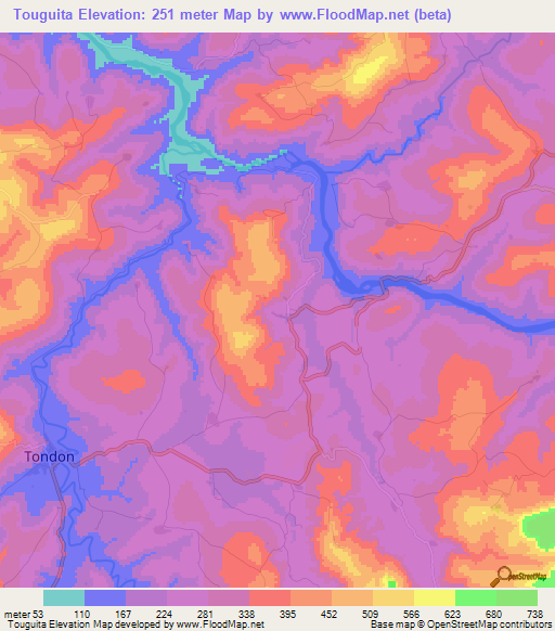 Touguita,Guinea Elevation Map