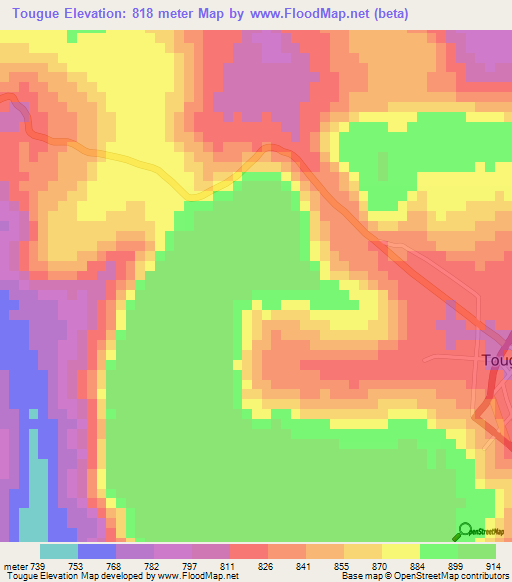 Tougue,Guinea Elevation Map