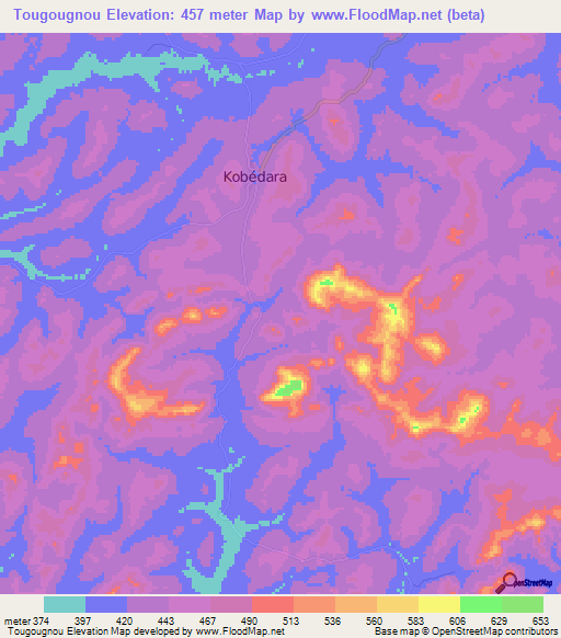 Tougougnou,Guinea Elevation Map