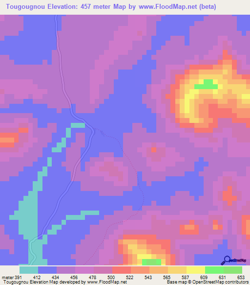 Tougougnou,Guinea Elevation Map