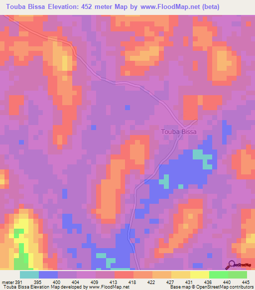 Touba Bissa,Guinea Elevation Map