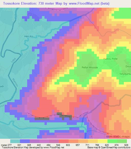 Tossokore,Guinea Elevation Map