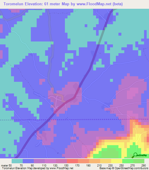 Toromelun,Guinea Elevation Map