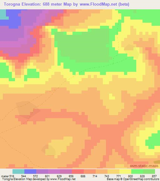 Torogna,Guinea Elevation Map