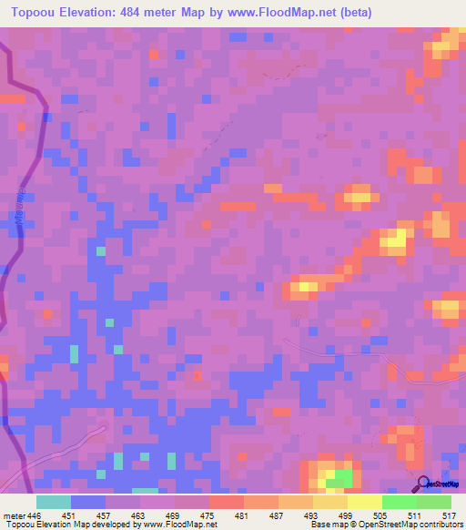 Topoou,Guinea Elevation Map