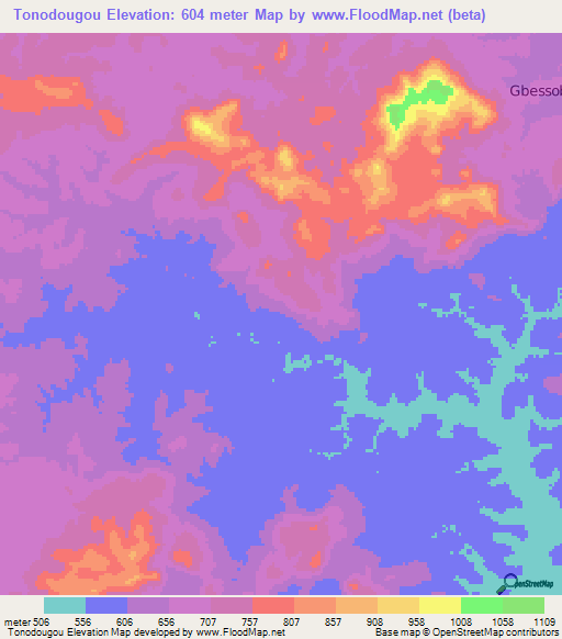 Tonodougou,Guinea Elevation Map