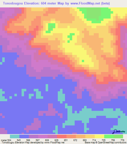 Tonodougou,Guinea Elevation Map