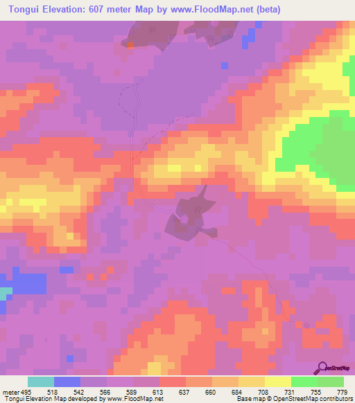 Tongui,Guinea Elevation Map