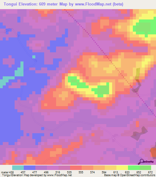 Tongui,Guinea Elevation Map