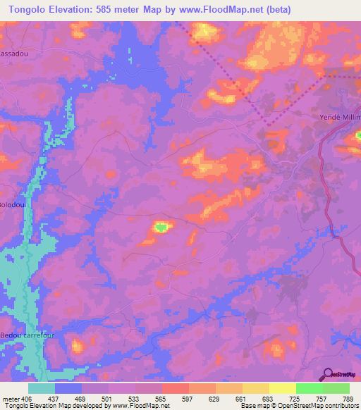 Tongolo,Guinea Elevation Map