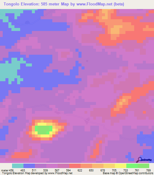 Tongolo,Guinea Elevation Map