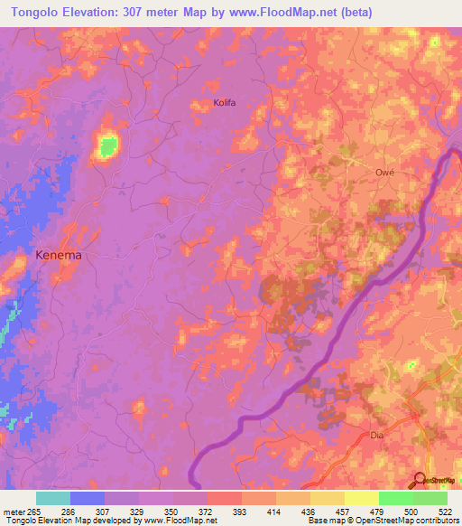 Tongolo,Guinea Elevation Map