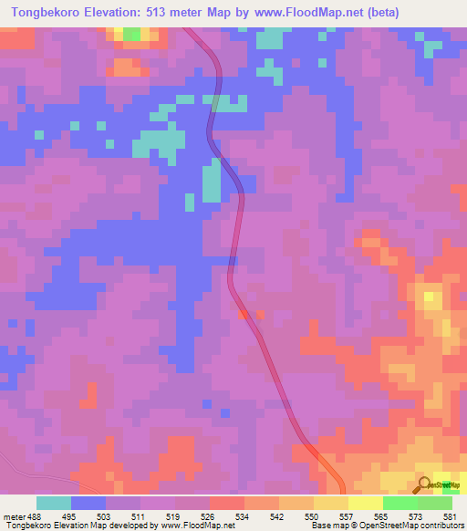 Tongbekoro,Guinea Elevation Map