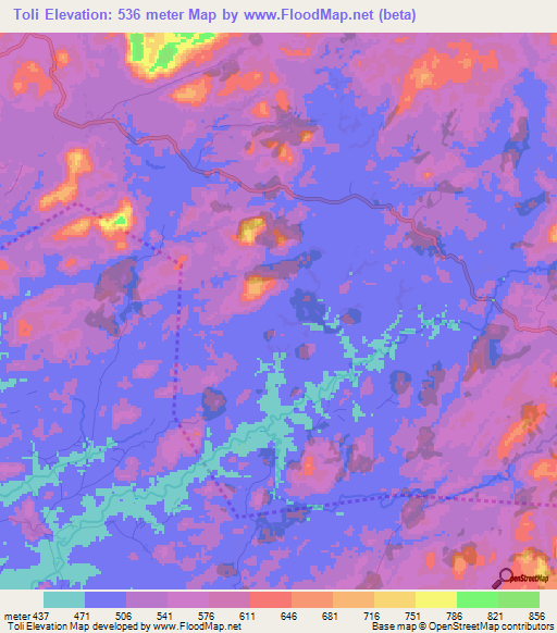 Toli,Guinea Elevation Map