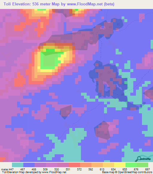 Toli,Guinea Elevation Map