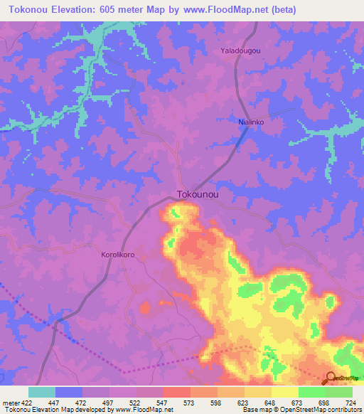 Tokonou,Guinea Elevation Map