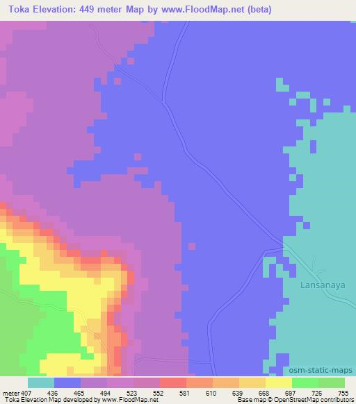 Toka,Guinea Elevation Map