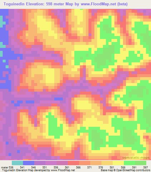 Toguinedin,Guinea Elevation Map