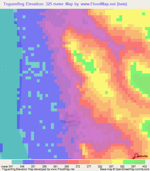 Toguenfing,Guinea Elevation Map